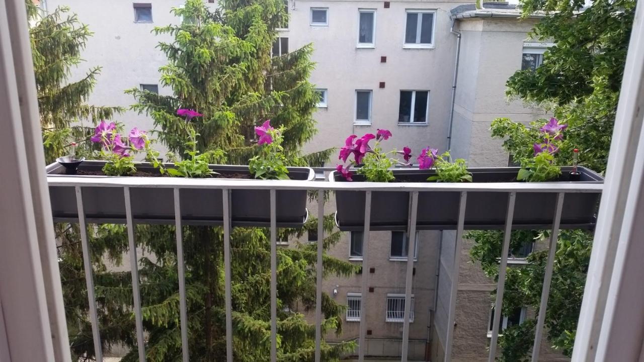 FREE PARKING - Tisza-parti Napfény Apartman Szeged Exterior foto
